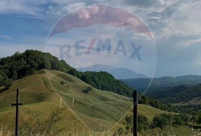 Spațiu comercial, de 510 mp, în Bisoca - 5