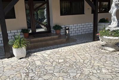 Casă cu 6 camere cu Teren 1359 Mp în Girișu de Criș - 11