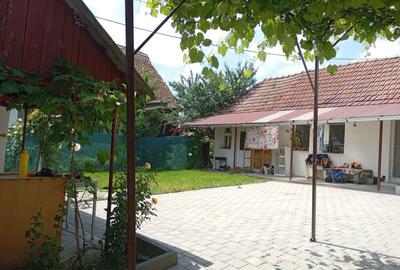 Casa de vanzare in Sacel - 2 corpuri locuibile, 3 bai, gradina, teren generos - 13