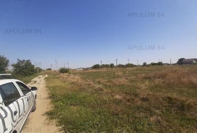 Teren pentru investitie langa Bucuresti - 8