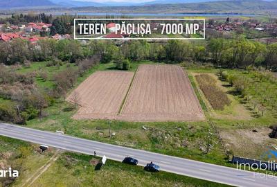 Teren de 6870 mp, în Totești - 4