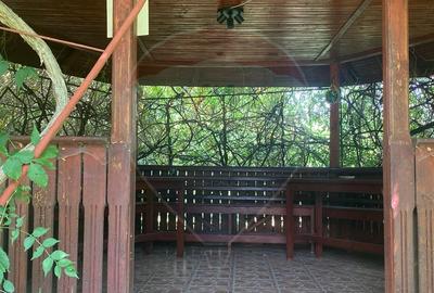 DE VANZARE Vila de vacanta in Pucioasa /Dambovita - 55