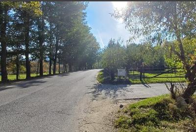 Teren intravilan zona Bran,Tohanita - 7