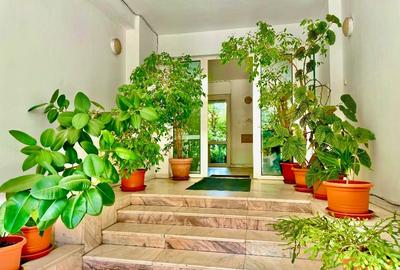 Proprietar,  potential  subdivizare hochparter cu demisol 400mp, 1450000  Euro - 5