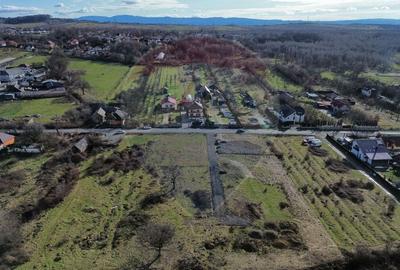 Teren Construcții intravilan de 1330 mp, în Exterior Sud - 3