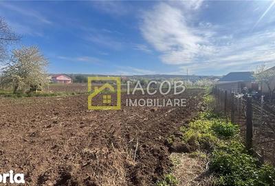 Teren de 2554 mp, în Prăjești - 13