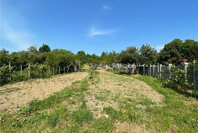 Casa - 4 camere - Certejul de sus - 5