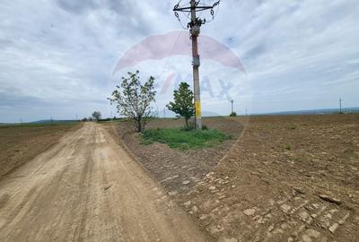 Teren in Magura/Bacau de vanzare - 3