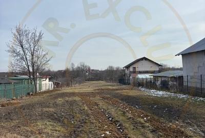 Teren Construcții intravilan de 2976 mp, în Smeura - 1