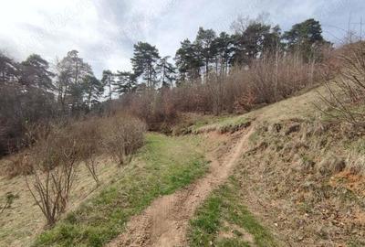 Teren intravilan Brasov - Drumul Poienii, pentru case de vacanta si argement. - 2