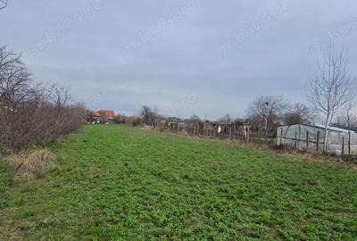 Casă cu Teren 2185 Mp în Stoicănești - 1