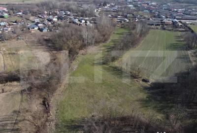 Casă cu 2 camere cu Teren 3800 Mp în Costești - 3