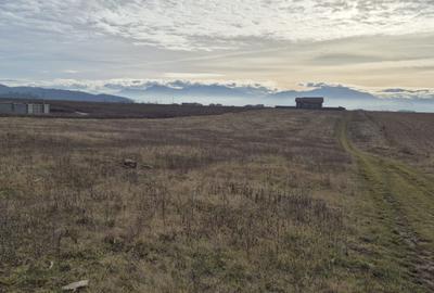 Teren Construcții intravilan de 750 mp, în Bod - 3