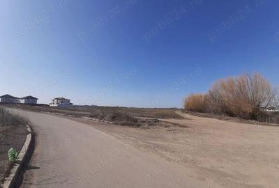 Teren de vanzare 4506mp str.Mierlei Tunari Ilfov - 7