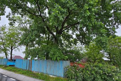 Casă individuală cu 3 camere în Cotești