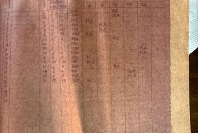 Casa cu 3 camere, P+1, 100 mp utili, in zona Blascovici - 12