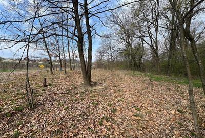 Teren intravilan de 2500 mp, în Săldăbagiu de Munte - 2