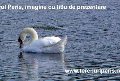 Teren în Periș - 2