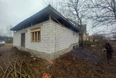 Casă cu 2 camere în Bârsa - 7