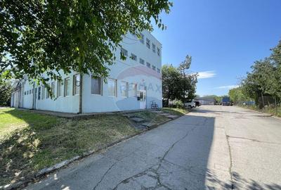 Teren de 35000 mp, în Chiajna - 6