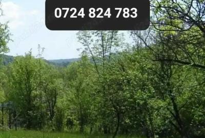 Teren de 1500 mp, în Vărbila - 2