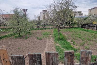 Casă cu 3 camere cu Teren 762 Mp în Ozun - 1