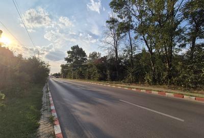 Voluntari - Popasului stradal inchiriere 1500 mp teren - 8