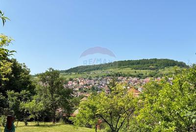 Casa intr-o loca?ie cu panorama deosebita, in zona Mosnei - 9