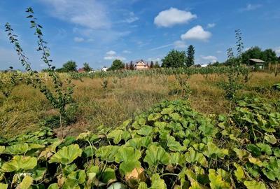 Oaza de liniste: casa cu livada si teren generos - Girov - 40