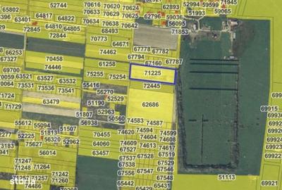 Spațiu comercial, în Apateu - 4