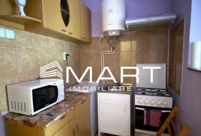 Garsoniera zona Terezian Garsoniera zona Terezian - 2