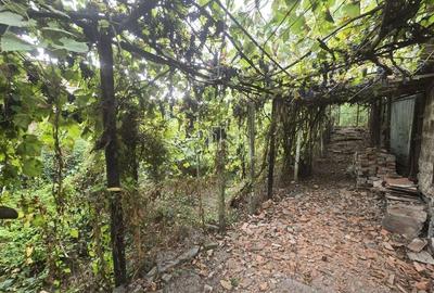 Imobil format din 2 cladiri, zona Stefan cel Mare, Sighisoara - 16