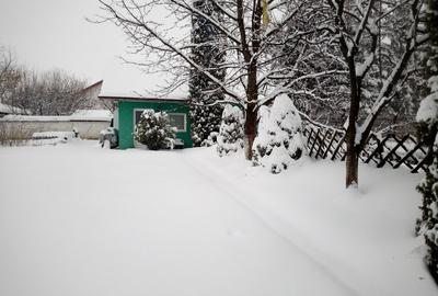 Teren Construcții intravilan de 2300 mp, în Prejmer - 6