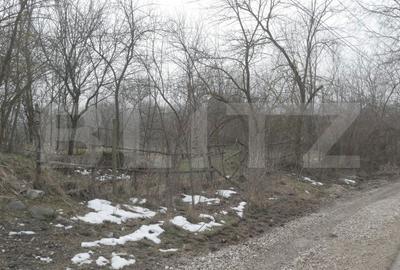 Spațiu comercial, în Ocnița - 3