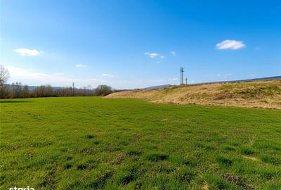 Spațiu comercial, în Pătrăuți - 7