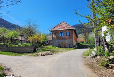 Teren de 1271 mp, în Livezile - 6