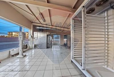 Spațiu comercial, de 207 mp, în Mioriței - 12