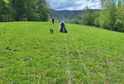 Teren de 46000 mp, în Slatina de Mureș - 4