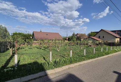 Spațiu comercial, în Valea Adâncă - 2