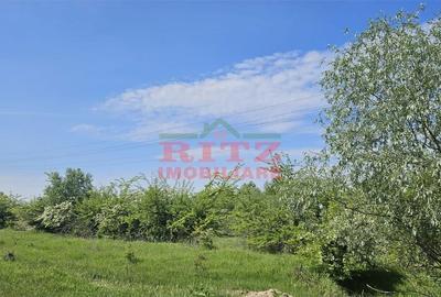 Teren de 295000 mp, în Stoenești - 10