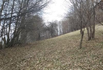 Teren de 6333 mp, în Brebu - 6