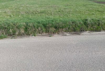 Teren de 2000 mp, în Stânca