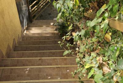 Casa curte- Metrou Pieptanari - 7