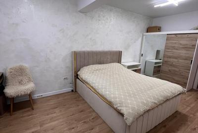 Apartament cu 2 camere semidecomandat, mobilat în Parcul Carol - 13