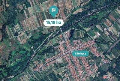 Teren extravilan agricol de 20 ha langa Caransebes - 4