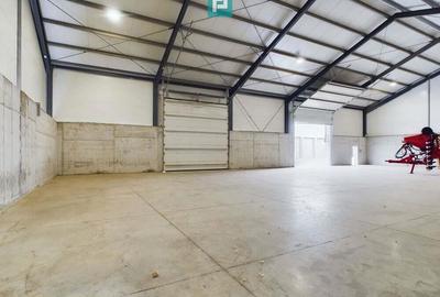 Hala industriala de 538mp Jebel, Timi? - 3