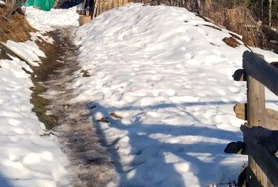 Vand casa batraneasca locuibila, in zona de munte, Apuseni&Teren Pret:3euro m 6400m, com. Scarisoara - 1