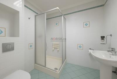 Oportunitate Domnesti – casa solida pe teren de 4.500 mp - 13