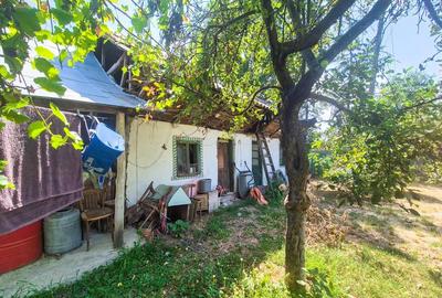 Casa , teren intravilan Urlueni Barla Arges - 7