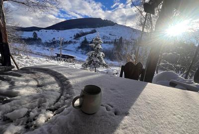 Teren intravilan de 1000 mp, în Valea Doftanei - 4